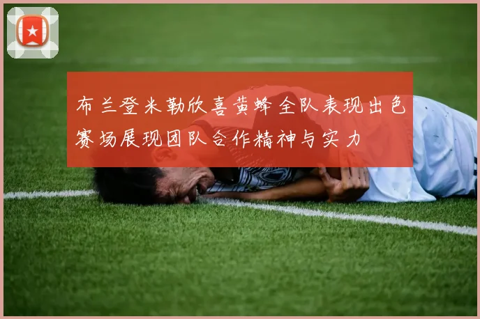 布兰登米勒欣喜黄蜂全队表现出色赛场展现团队合作精神与实力