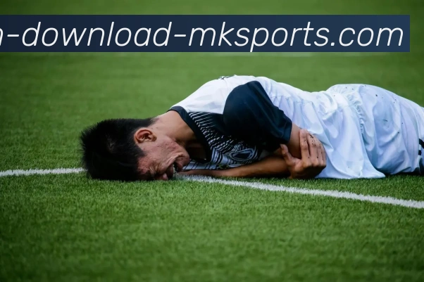 MK体育下载全站App